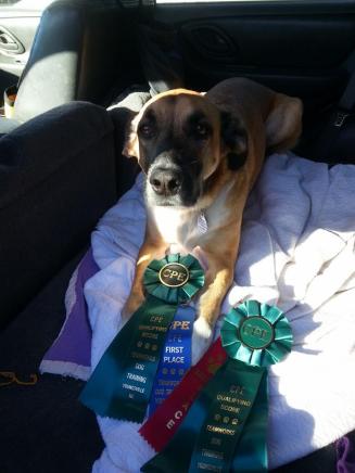 Ruby's CPE Ribbons